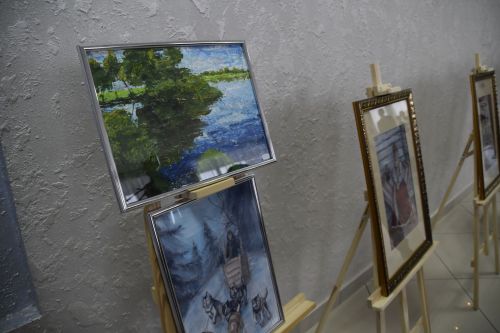 Фотографии с выставки перед заседанием Совета Мензелинского района