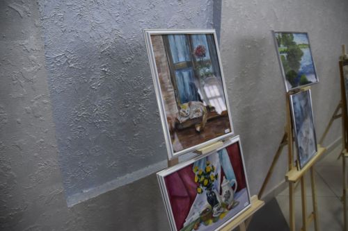 Фотографии с выставки перед заседанием Совета Мензелинского района