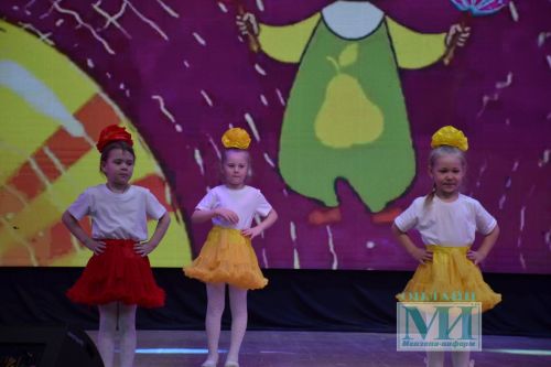 Яркие моменты гала-концерта районного тура фестиваля «Созвездие-Йолдызлык»