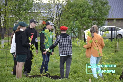 Мензелинцы высадили живой символ Победы в рамках акции "Сад памяти"