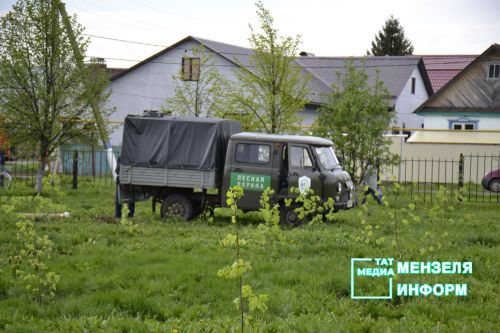 Мензелинцы высадили живой символ Победы в рамках акции "Сад памяти"