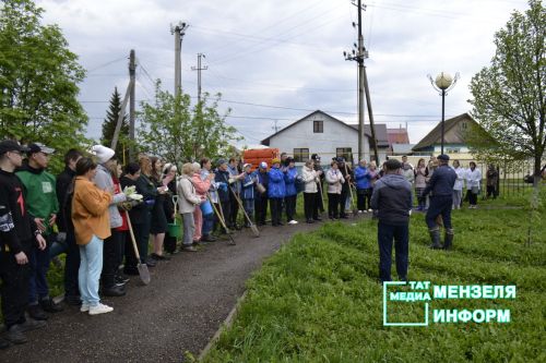 Мензелинцы высадили живой символ Победы в рамках акции "Сад памяти"