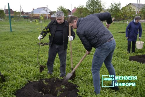 Мензелинцы высадили живой символ Победы в рамках акции "Сад памяти"