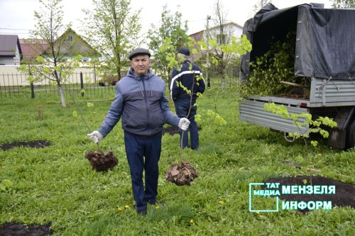 Мензелинцы высадили живой символ Победы в рамках акции "Сад памяти"