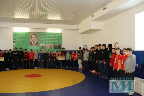 Фоторепортаж с  турнира по борьбе памяти мастера спорта РСФСР Рафаила Бадриева.