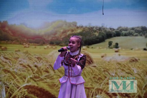 В Мензелинске состоялся гала-концерт районного тура фестиваля «Созвездие – Йолдызлык 2026»
