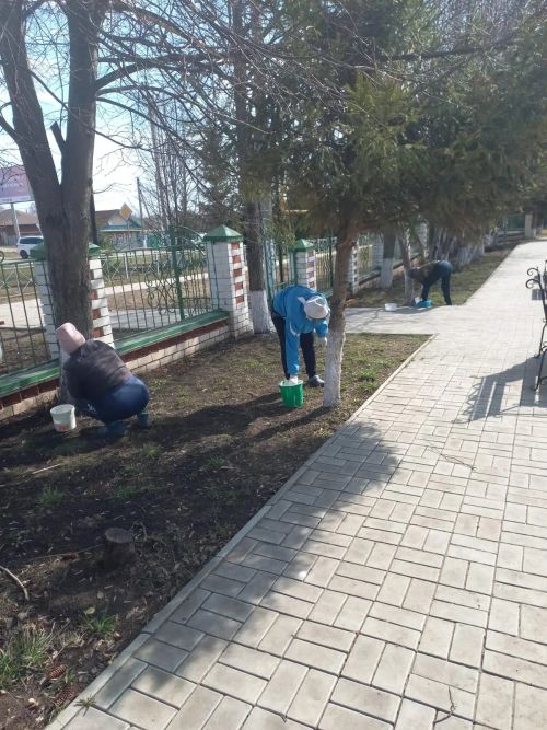 В Мензелинском районе активно проходит двухмесячник по очистке