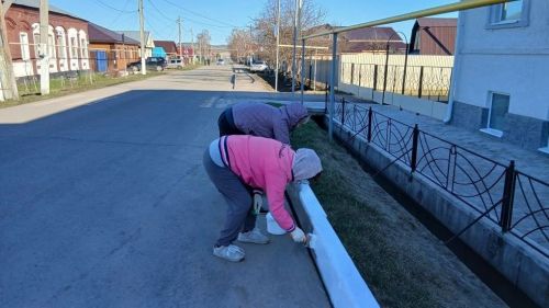 В Мензелинском районе активно проходит двухмесячник по очистке