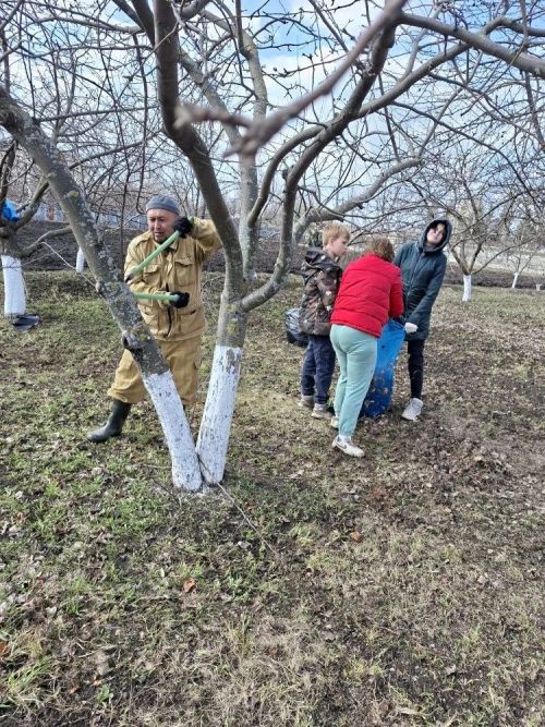 В Мензелинском районе активно проходит двухмесячник по очистке