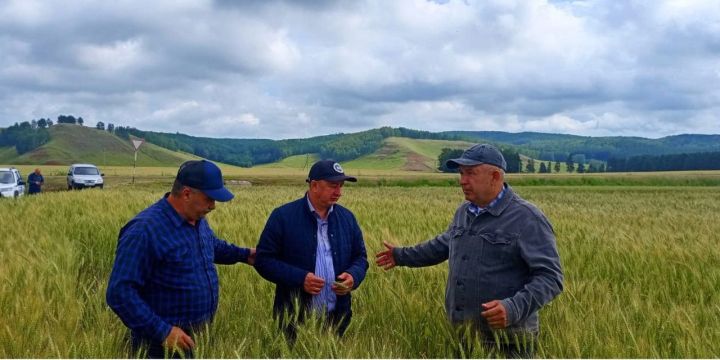 Основная тема — подготовка к республиканскому семинару-соревнованию операторов машинного доения