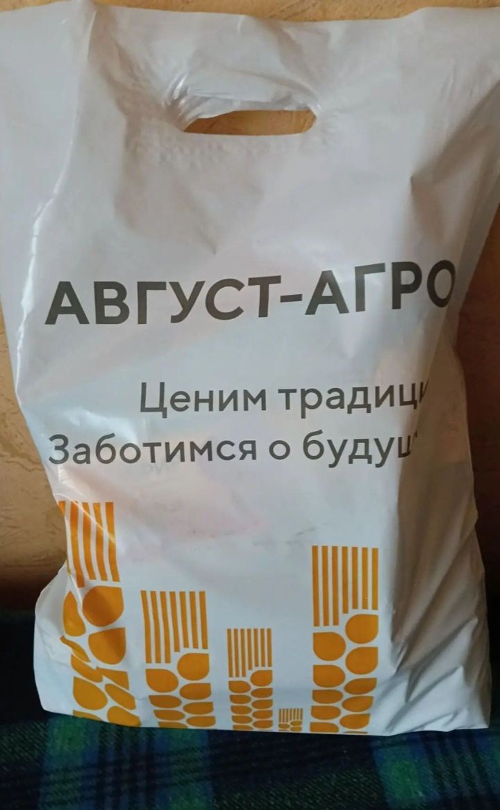 Өлкәннәр декадасында Минзәләдә өлкәннәргә ихтирамлы игътибар күрсәтелде