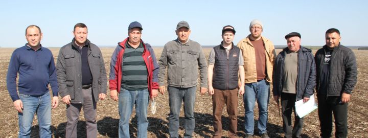 Озимые перезимовали успешно: Айдар Салахов осмотрел поля хозяйств района