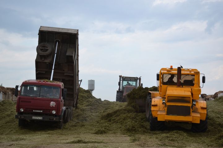 Заготовка кормов в Мензелинском районе в цифрах