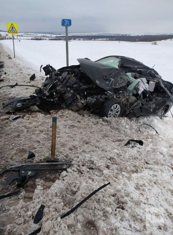 В Татарстане на трассе в ДТП с фурой погиб водитель легковушки
