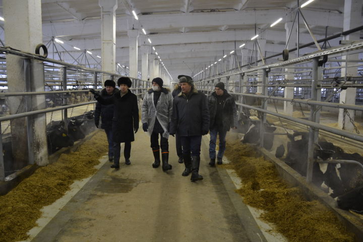 Министр сельского хозяйства Татарстана Марат Зяббаров посетил модернизированную ферму в Балтаево