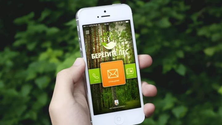 Жители Татарстана могут сообщать о происшествиях в лесу через мобильное приложение "Берегите лес»