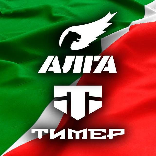 В Татарстане появился Telegram-канал именных батальонов "Алга" и "Тимер"