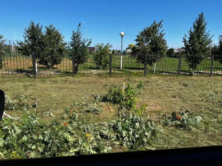 Вандалы сломали молодые деревья около парка в Мензелинске