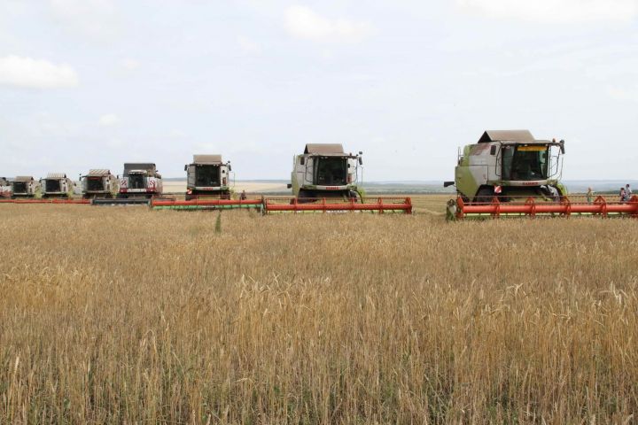 Хозяйства “Заиковский” и ОСП “Мензелинское” завершили обмолот зерновых