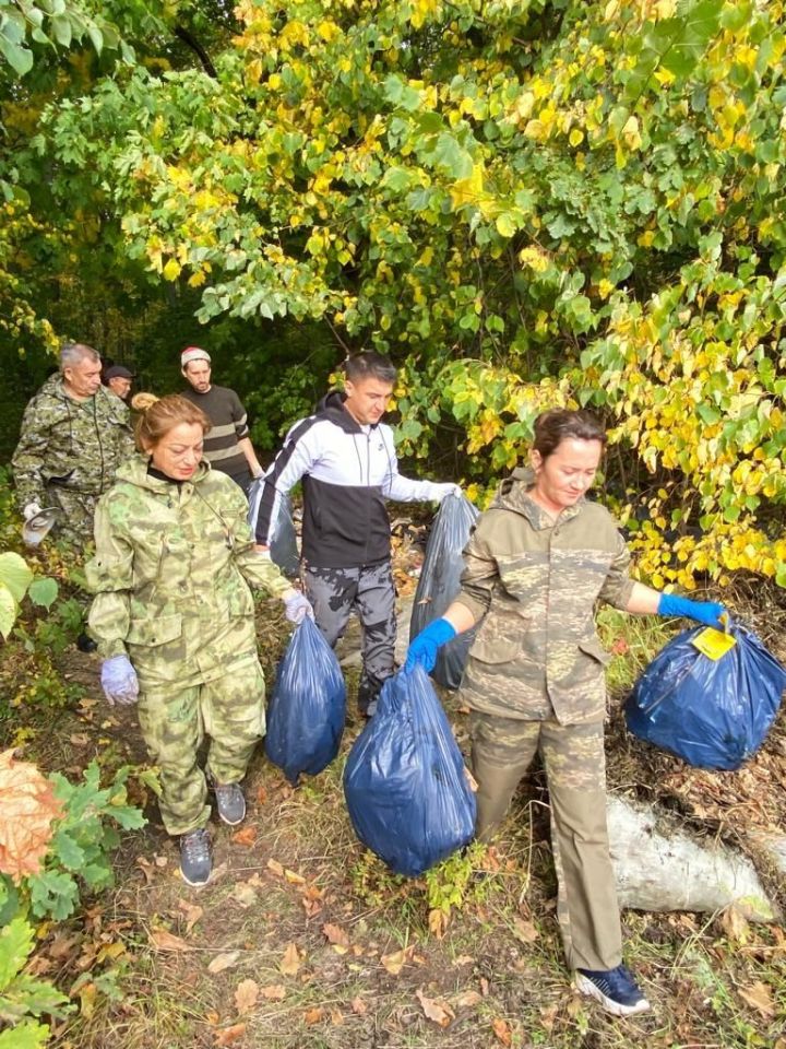 В рамках акции «Чистые леса Татарстана» в Мензелинском районе очистили лес