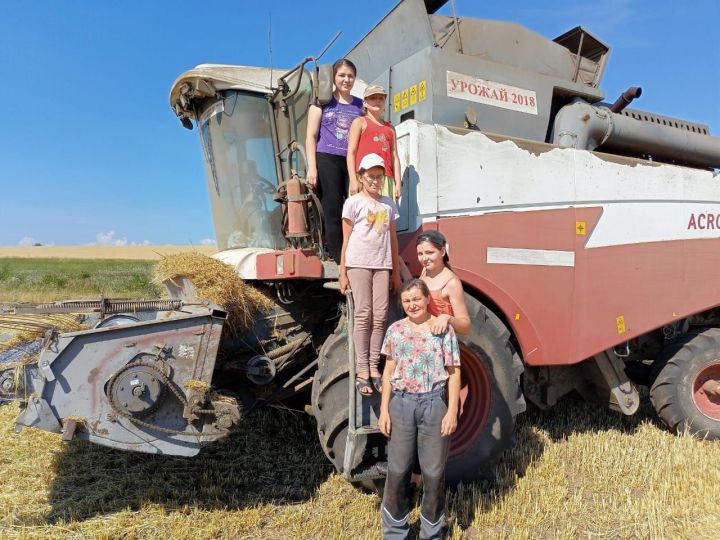 Комбайнер Мензелинского района Венера и в этом году на жатве