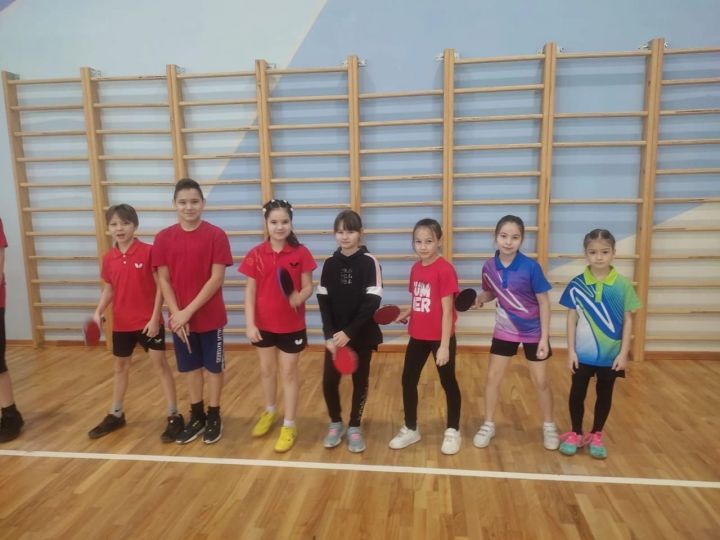Теннисисты Мензелинского района соревновались в Сарманово