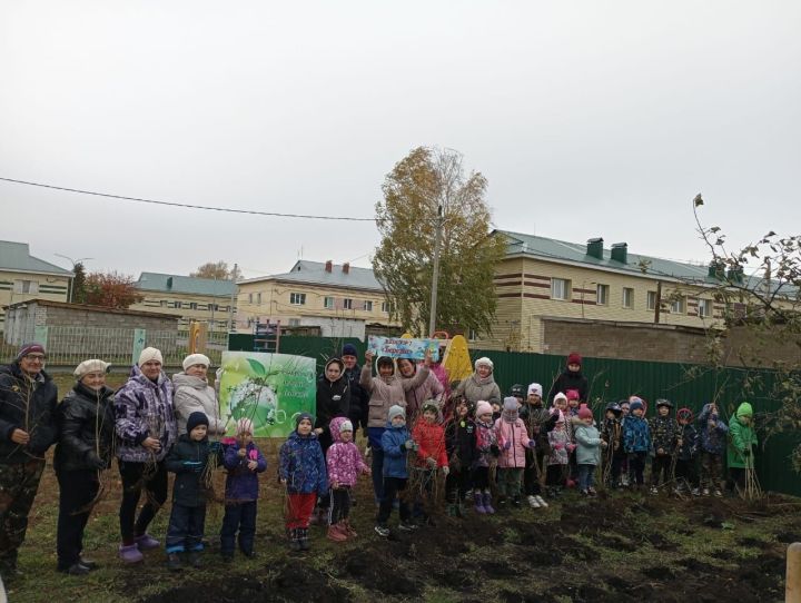 В детском саду «Березка» прошла экологическая акция «Посади дерево»