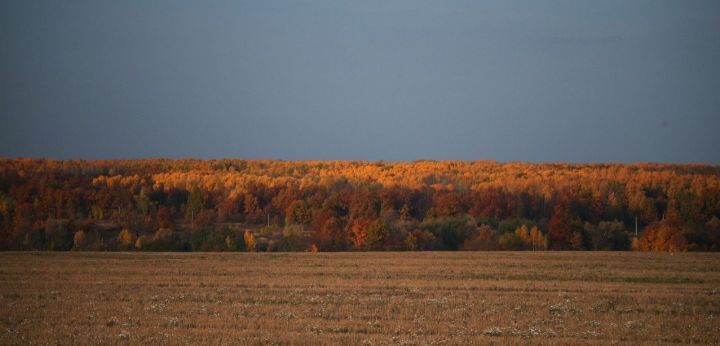 В Татарстане сохранится умеренно теплая и дождливая погода