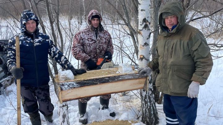 Сотрудники охотничьих хозяйств Татарстана подкармливают лосей, косуль и зайцев