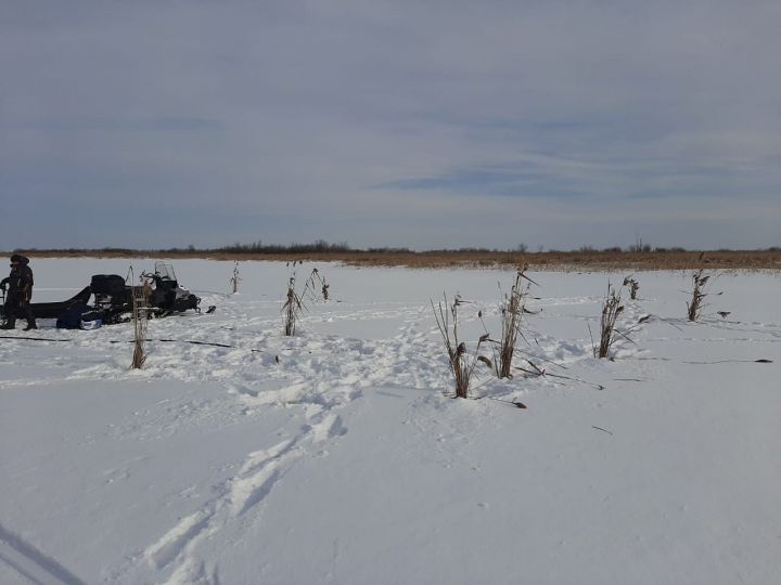 Водоемы Мензелинского района обогащают кислородом