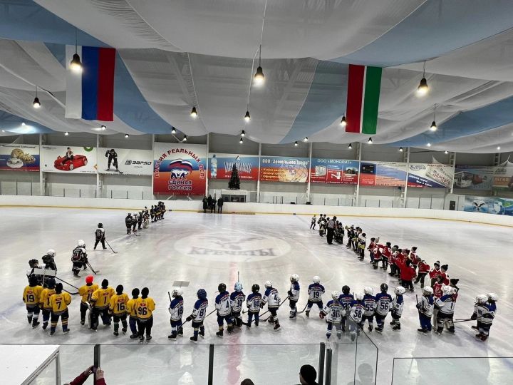 В Мензелинске состоялся хоккейный турнир «Медаль для мамы»