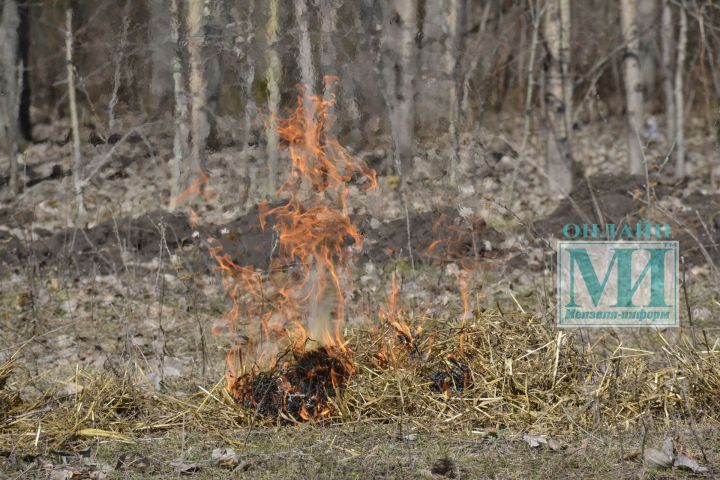С 15 апреля в Татарстане установлен пожароопасный сезон