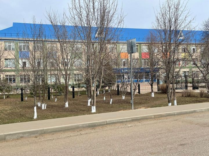 Мензелинцы добросовестно  принимают участие в санитарно-экологическом двухмесячнике
