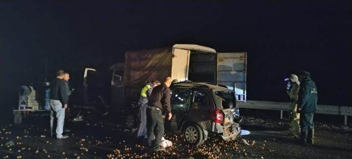 В Татарстане водитель и пассажирка погибли в ДТП на трассе М-7