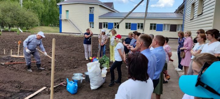 Кандидат сельскохозяйственных наук Харис Камалиев научил мензелинцев сажать овощи