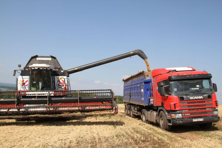 В Мензелинском районе намолочено 12509 тонн зерна