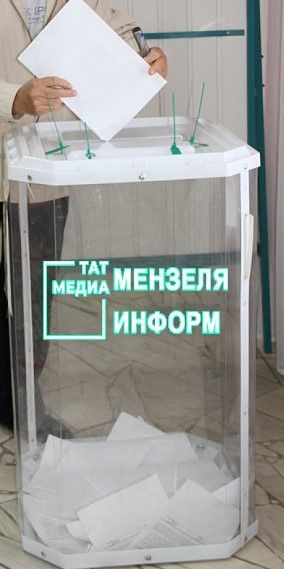 В трех селах Мензелинского района избираются местные депутаты