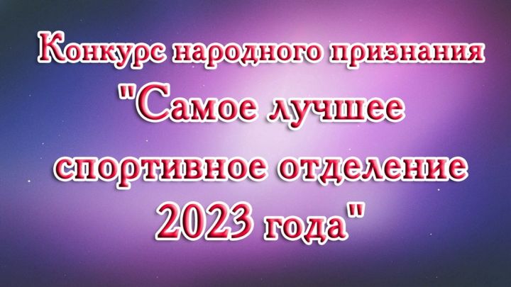 Мензелинцы выбрали лучшее из отделений спортивных школ района