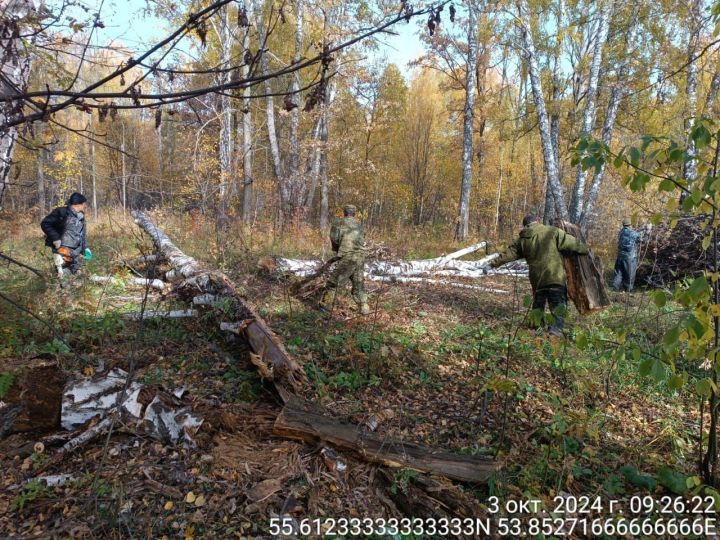 Мензелинцы присоединились к Всероссийской акции «Сохраним лес»