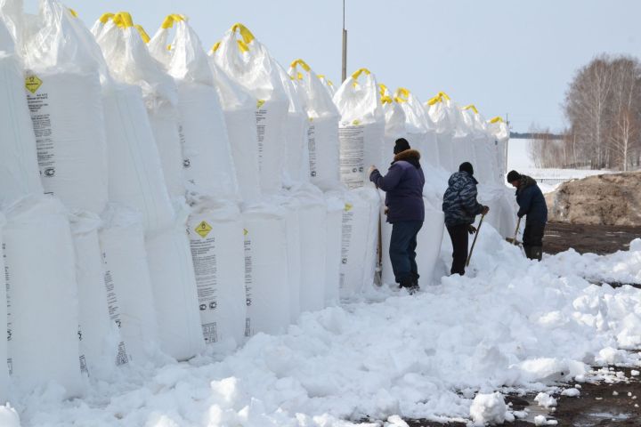 Минзәлә районы хуҗалыклары 2024 нче ел уңышы өчен һәр гектар чәчүлеккә 40,47 килограмм тәэсир итү көчендә минераль ашлама туплаган
