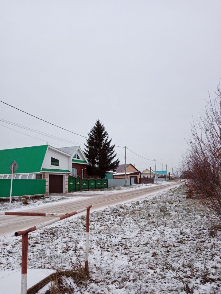 В 2023 году в Мензелинске было спилено 60 аварийных деревьев