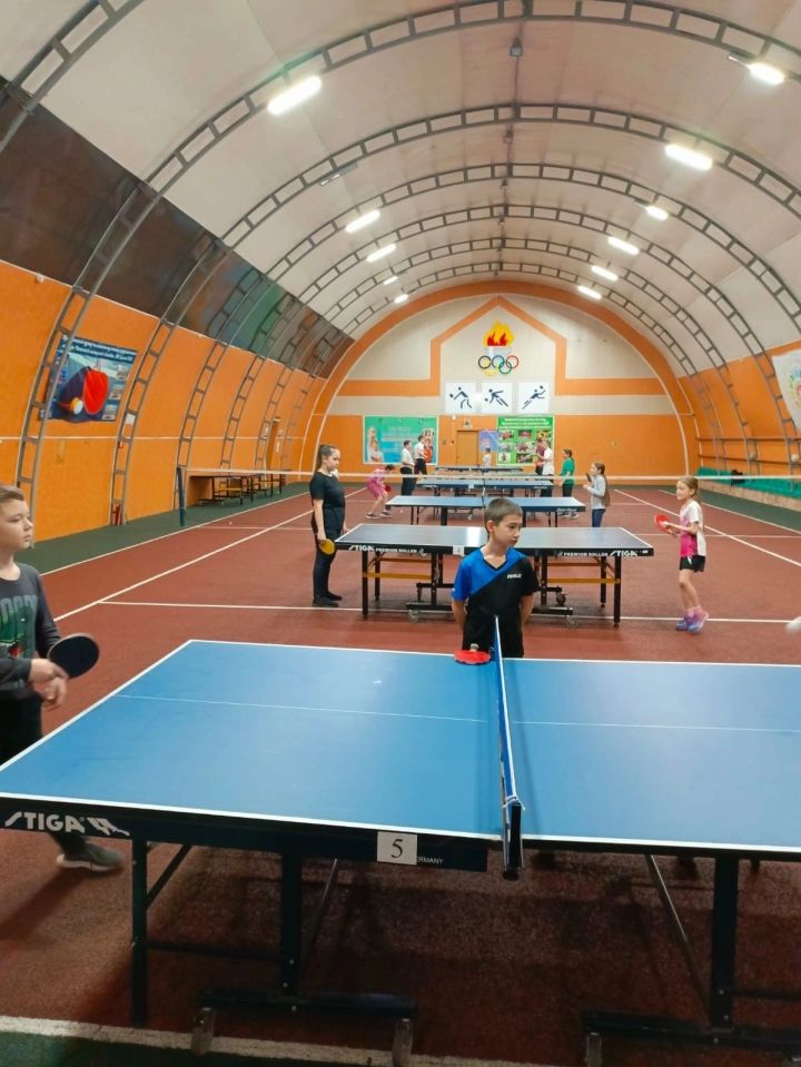 Учащиеся школ и ССУЗов Мензелинска соревновались по настольному теннису