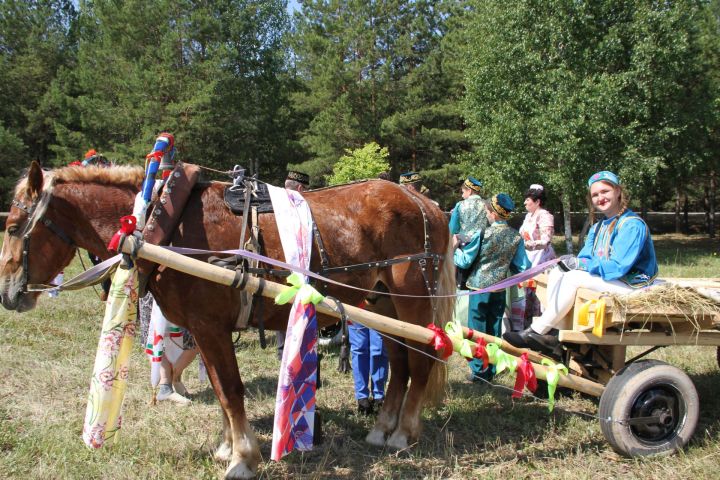 Куда сходить на выходных: на мензелинском Сабантуе гостей ждет бесплатная лотерея