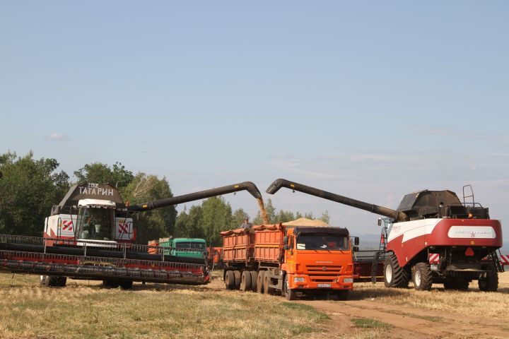 Средняя урожайность в Мензелинске – 42,6 центнера с гектара