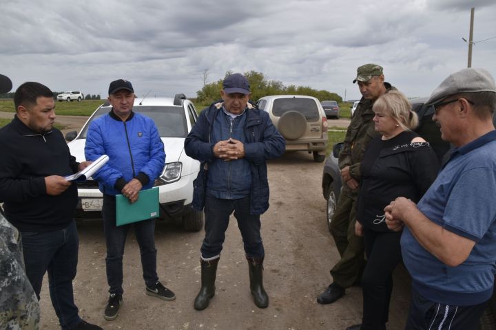 В Мензелинском районе сегодня на полях будут работать около 50 комбайнов