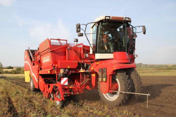 В Мензелинском районе продолжается уборка картофеля