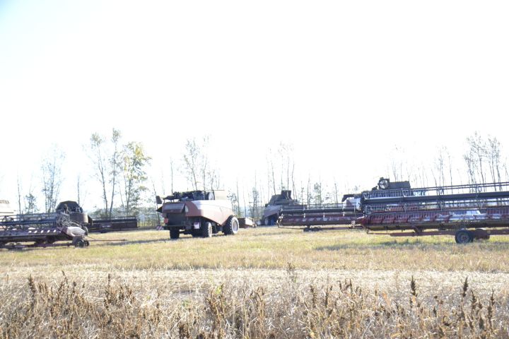 Глава Мензелинского района ознакомился с проводимыми в хозяйствах работами