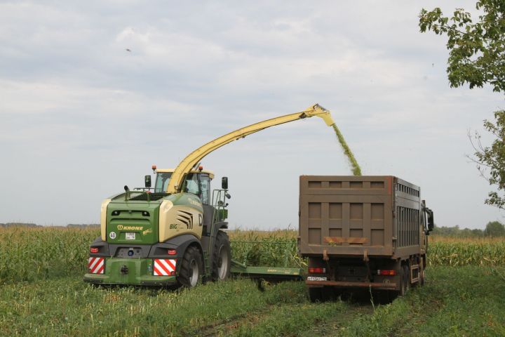 В Мензелинском районе установлен еще один рекорд