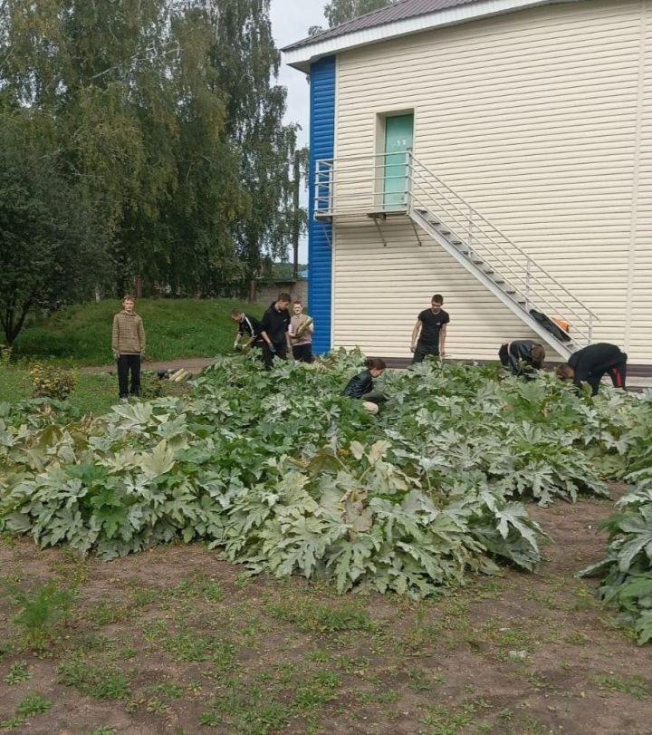 В Коноваловской школе Мензелинского района сегодня прошел День благотворительности