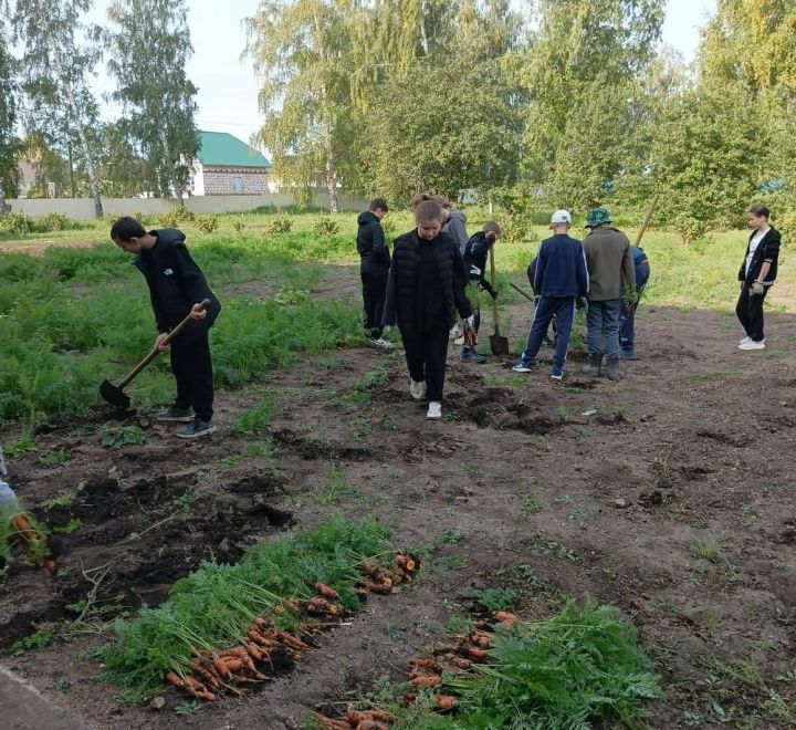 В Коноваловской школе Мензелинского района сегодня прошел День благотворительности